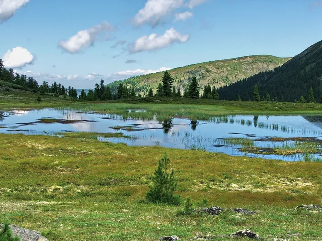Baikal Nature Reserve