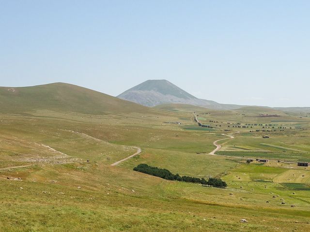 Tavkvetili