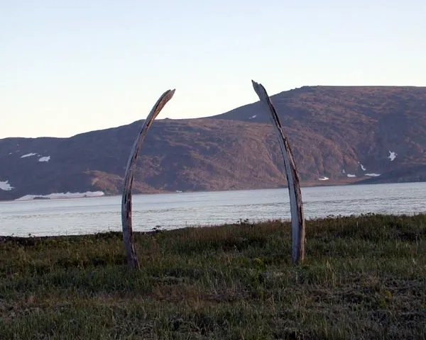 Whale Bone Alley