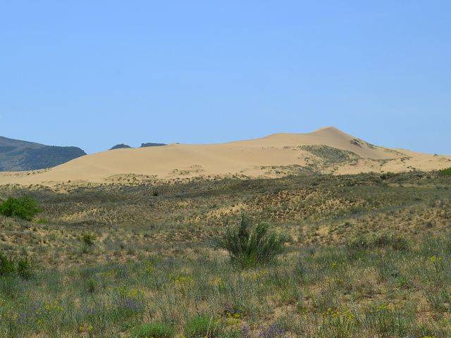 Sarykum