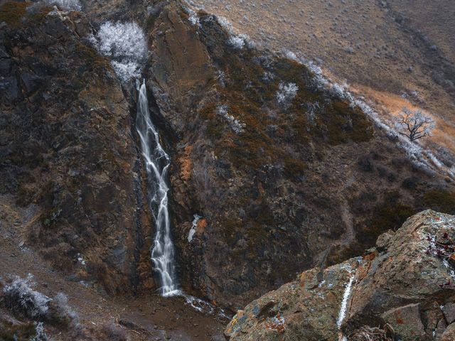 Bear falls