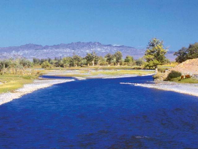 Bulgan Gol-Ikh Ongog National Park