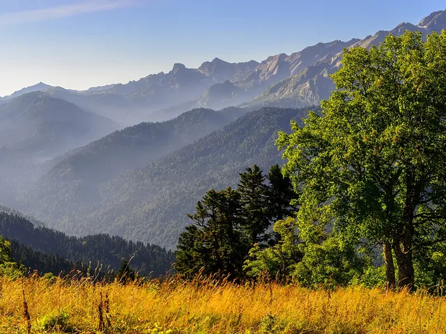 Sochi National Park