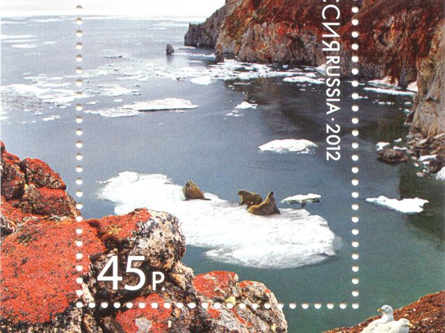 Zapovednik Wrangel Island