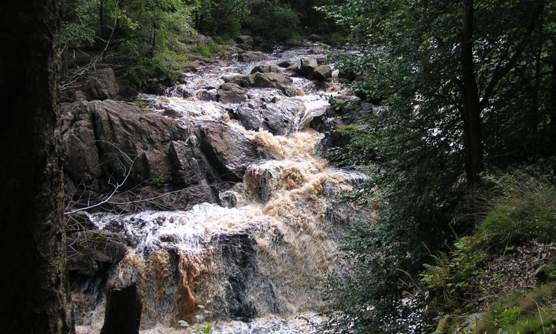 Danska fall