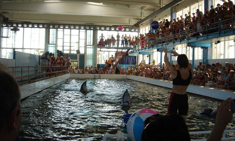 Kara-Dag dolphinarium