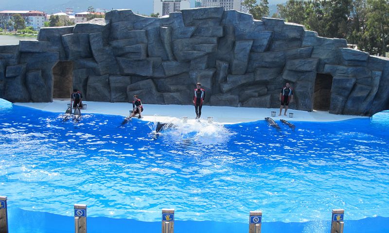 Batumi Dolphinarium