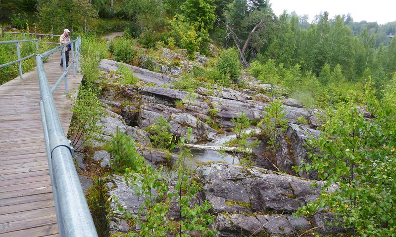 Döda fallen