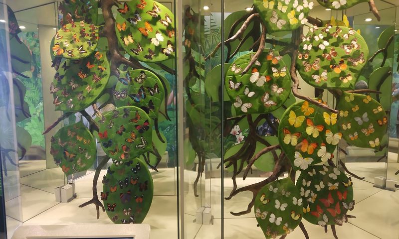 Konya Tropical Butterfly Garden