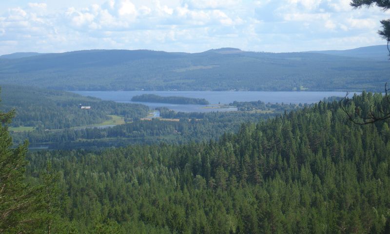 Järvzoo